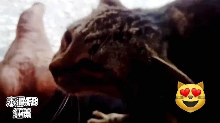 我踏我踏我踏踏踏！