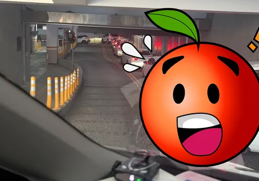 白色車有多夯!一張照片見分曉 難怪二手車商說最好賣