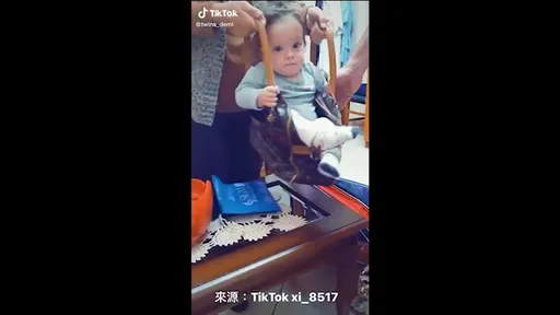 最昂貴的小Baby行動嬰兒車！　原來LV包竟有這種功能