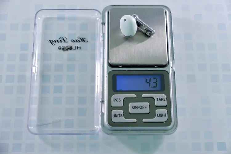 單耳實測重4.3克。陳志淵攝