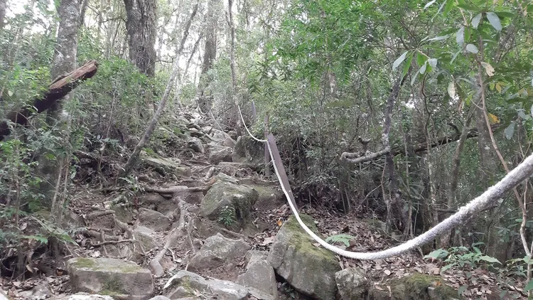 林管處會在步道設置牽引繩防止山友迷途。民眾提供
