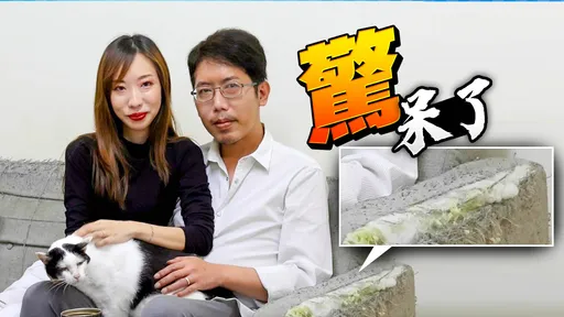 獨家專訪3|丁允恭潦倒現況曝光!租屋沙發超破爛 慘淪「月光族」家具都掃二手貨