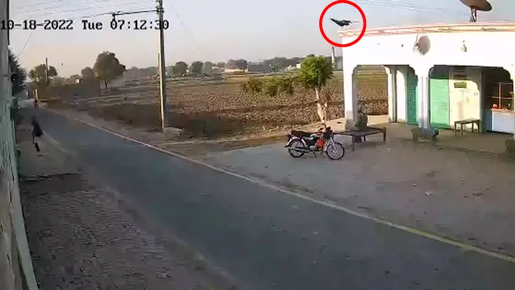 大鳥（紅圈處）一開始站在屋頂上。翻攝自推特