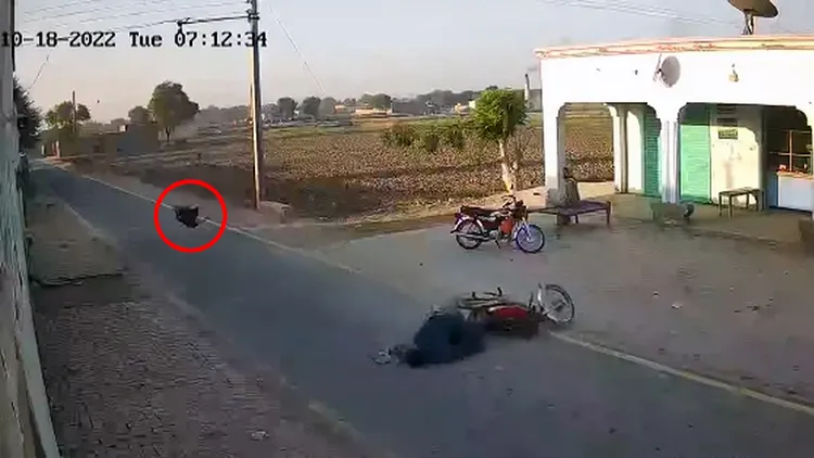 大鳥肇事後，和騎士在摔在地上。翻攝自推特