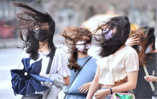 「竹風蘭雨」多可怕?馬偕急診醫最知道 當地人:被吹去撞車!