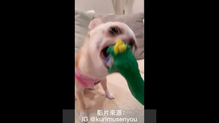 再鬧，我就只能用暴力解決了。