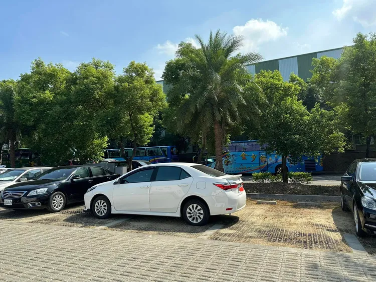 網友譴責白車車主眼睛有問題。翻攝自臉書「爆料公社」