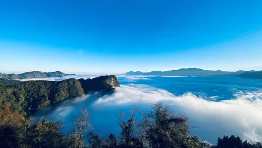 阿里山出大景!壯闊雲海絕美 林管處推薦最佳時機與觀賞點