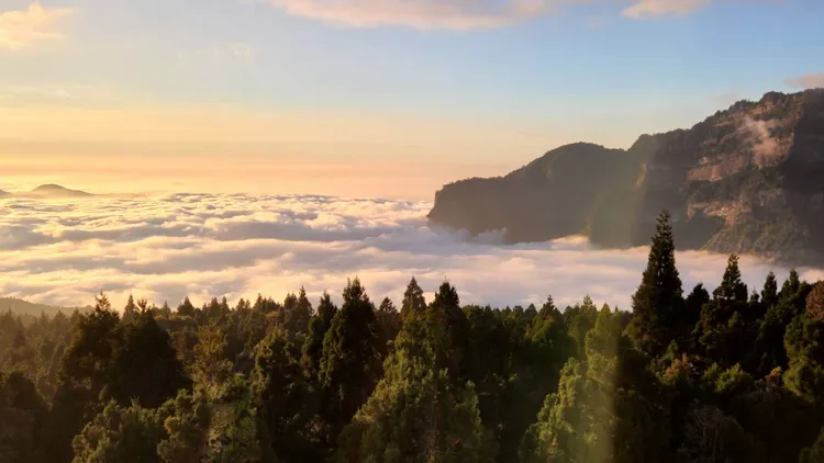塔山下雲海。林管處提供