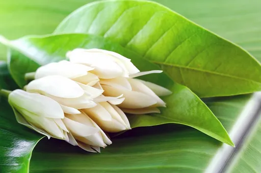 暖男心疼阿婆凌晨賣花　1束100元他拿千元鈔等找錢！下一幕換他哭了