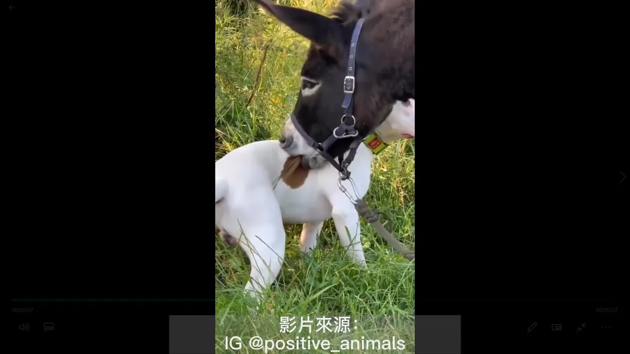 來咬一口看看好吃嗎？