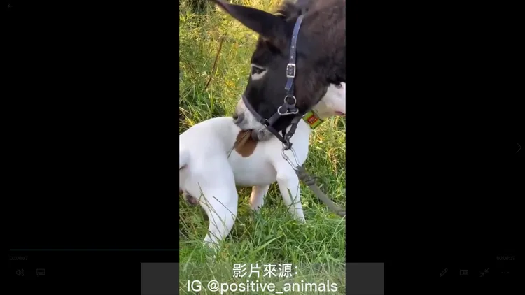 來咬一口看看好吃嗎？