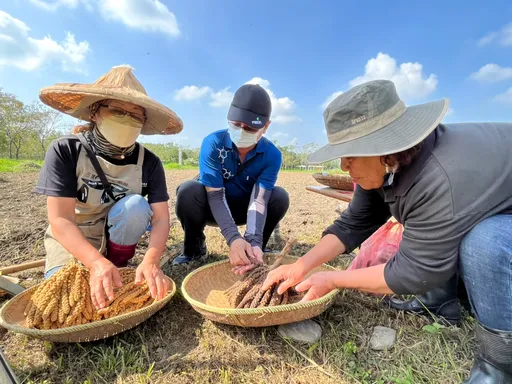 「林學校」食農教育 祭祀祖靈體驗排灣族傳統農作播種