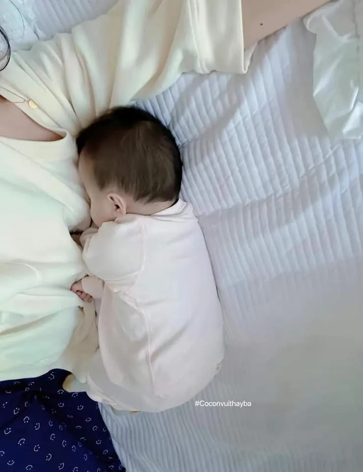 這照片讓許多人直呼療癒。翻攝自爆廢公社公開版