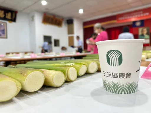 三芝入秋體驗採筍趣 茭傲市集好買又好玩