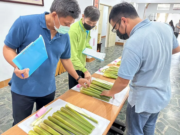 茭白筍品鑑會。農會提供