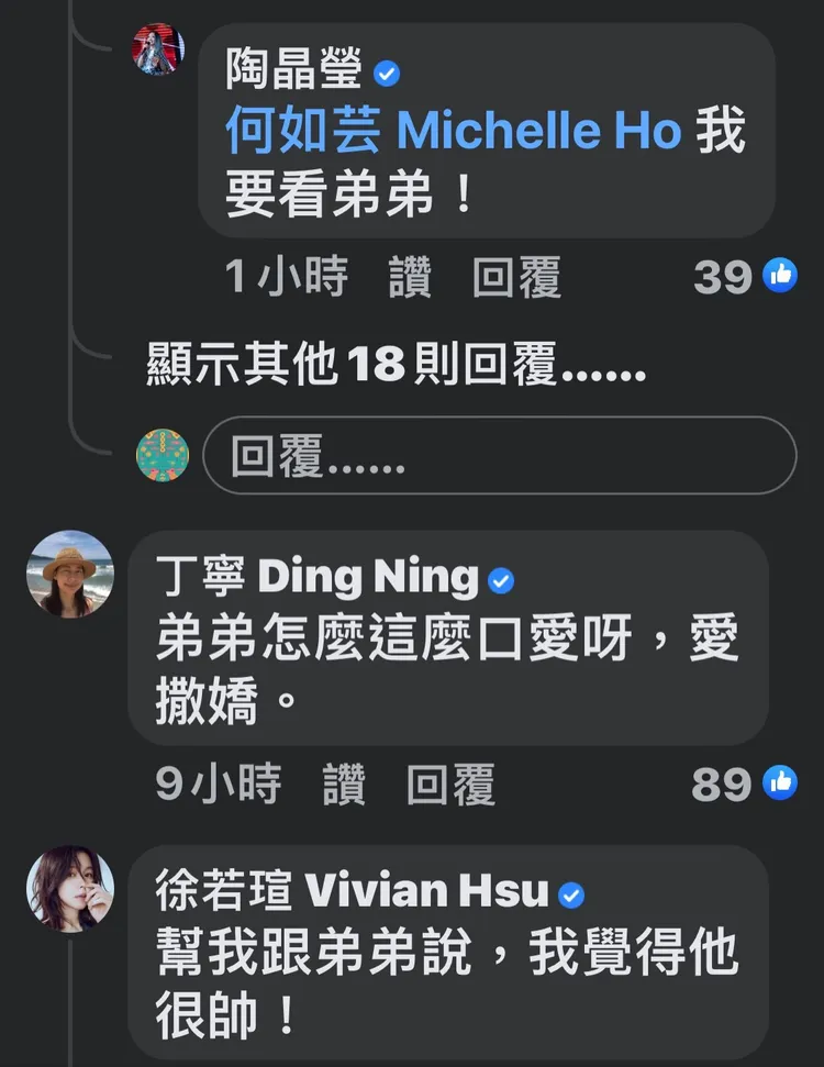 陶子、丁寧和徐若瑄都來留言支持。翻攝何如芸臉書
