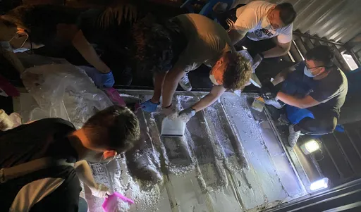 貨櫃藏毒以為天衣無縫!緝毒犬一聞全露餡 新北警查扣367公斤K他命