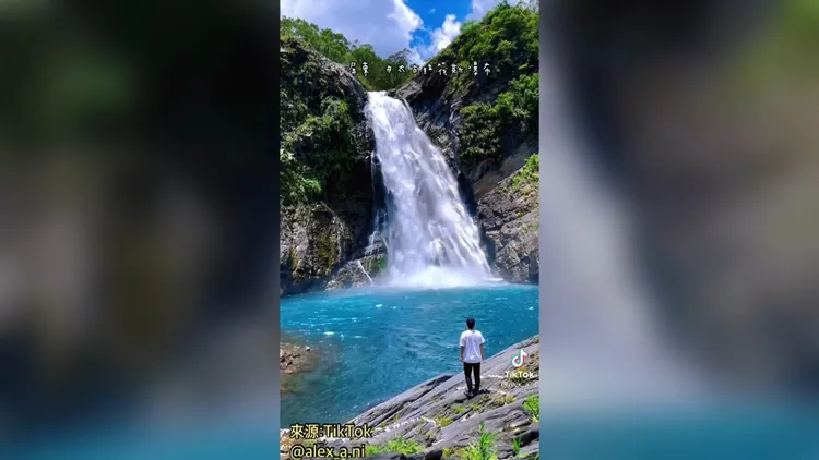 在此可以吸到滿滿的負離子與芬多精。