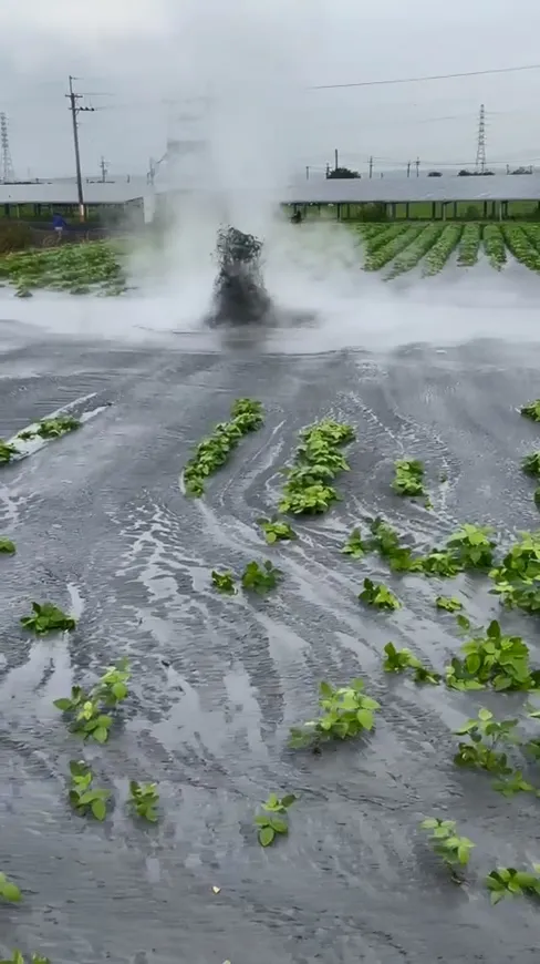 噴發口在紅豆田裡。陳玉意提供