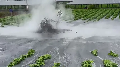 影片|沖2米高!萬丹泥火山今年第3度噴發 毀了屏東紅豆田