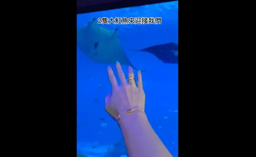 一晚四萬夢幻海底套房　和魟魚一同香甜入眠