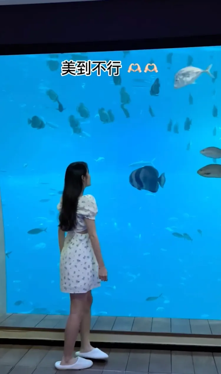 巨型水族箱讓人大呼：只住一晚不夠啦。