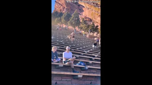 這是新物種? 竟然倒退著奔跑 背後有長眼睛嗎?