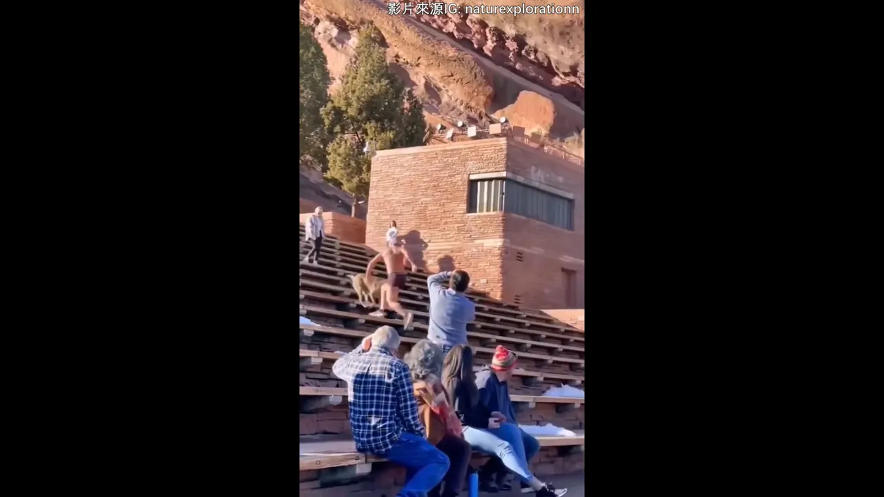 這人倒退跑的速度也太快了。