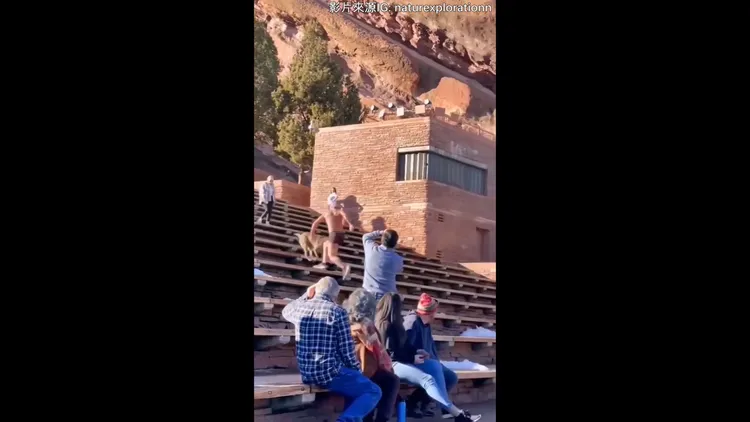 這人倒退跑的速度也太快了。