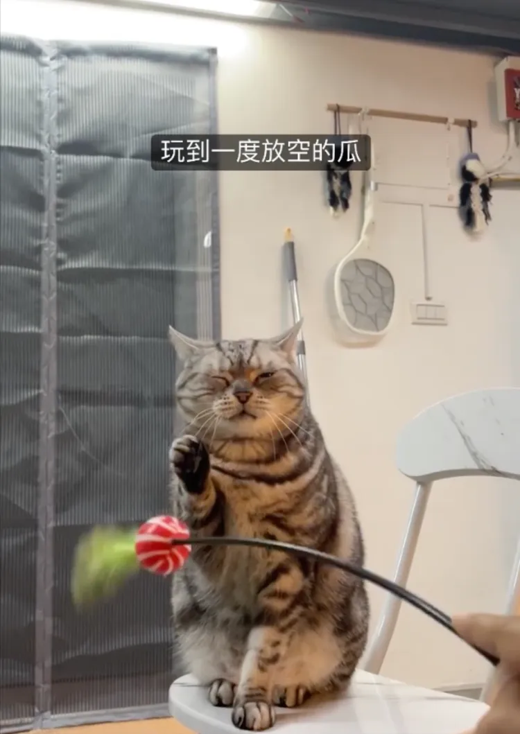 網友笑：玩到後面都在敷衍。