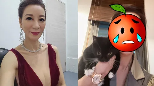 楊繡惠半夜突喊「眼睛出血」 照片曝光!粉絲驚:靈魂之窗欸「嚴重可能瞎掉」