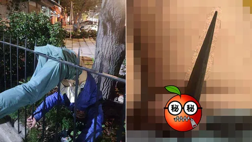 竊賊翻圍欄一摔「尖刺貫穿蛋蛋」 超慘救援現場曝光