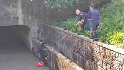 楊梅警搶救落水狗 拋救生圈下水救起汪星人