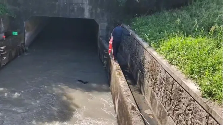 汪星人掉入大圳中載浮載沉。楊梅警分局提供