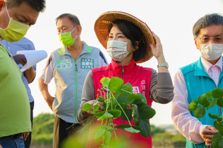周春米致電農委會，表達泥火山噴發淹沒作物應列為天然災害範圍，農糧署應立即協助紅豆農。圖為周春米日前到萬丹關切紅豆種植。周春米競選總部提供