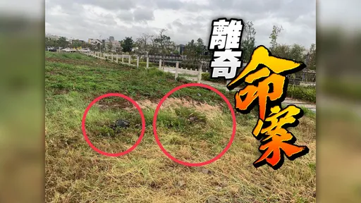 驚悚!台中14期人骨倒埋「頭下腳上」 失蹤2月婦「警追死因」