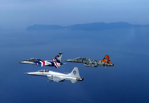 國台辦才證實派專家來台救「團團」　今又13架共機擾台