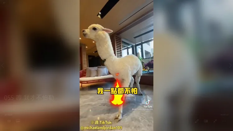 我不怕，只是很火大。