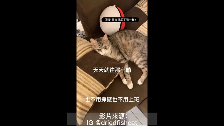 不用工作賺錢，不管做什麼都會有人誇獎。