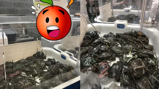 好市多「沙公沙母」來了!一年只賣3天 內行人看價錢驚喊:貴得誇張