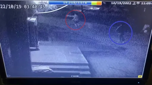 新北男深夜遛狗遇惡煞 甩棍無差別攻擊!博美犬遭活活打死