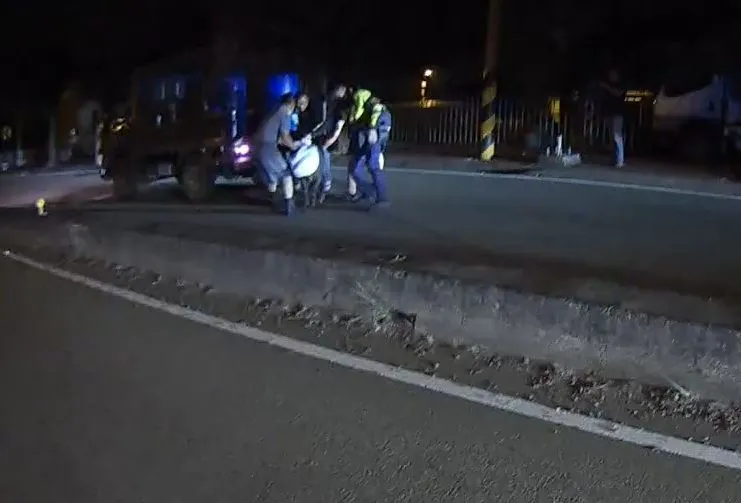 員警和民眾合力將黑豬控制住。警方提供