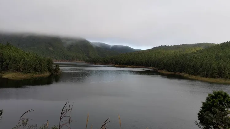 連續降雨，宜蘭太平山翠峰湖難得滿水位。林管處提供