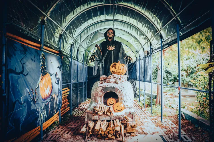 觀音萬聖南瓜節活動於10月22日起至11月6日，在觀音區蓮花園休閒農業區舉辦。桃園市政府提供