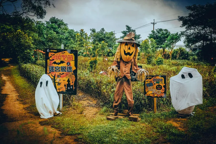 萬聖南瓜節有必拍的南瓜大氣球、網美打卡的南瓜廊道之外，各農場也用心佈置好多經典的主題。桃園市政府提供