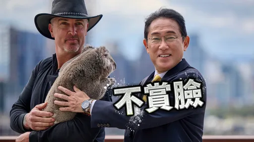 愛江山不愛男人!日相岸田文雄訪澳 遭無尾熊不賞臉