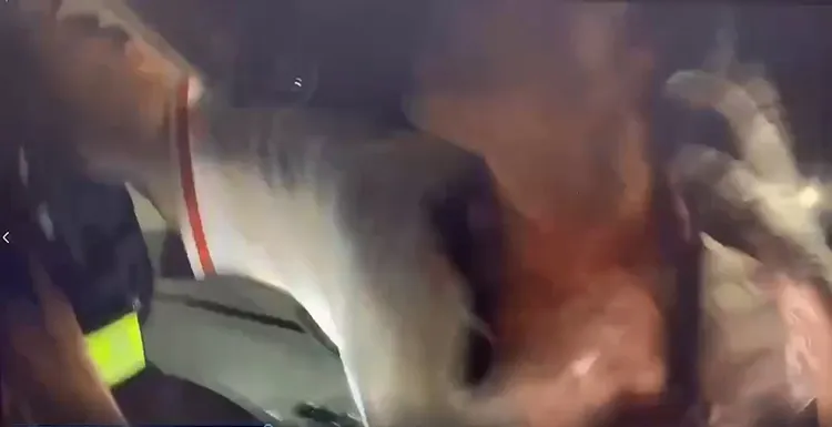 醉嘆（右）突站起來揮拳攻擊警員。讀者提供