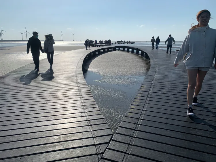 台中高美濕地被評選一生必去的景點，今起只要搭乘台中市「309路高美線」觀光公車就可以輕鬆抵達賞美景。台中市觀旅局提供