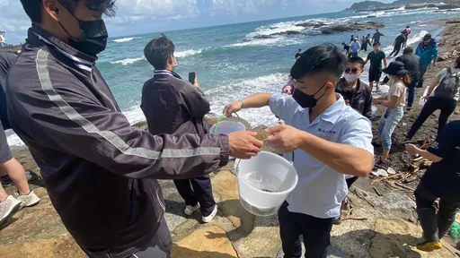 漁業枯竭!為復育近海生態努力 基隆漁會今放流萬尾魚苗